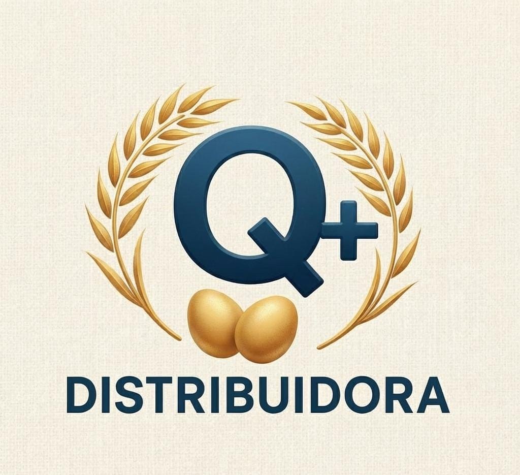 Q+ Distribuidora